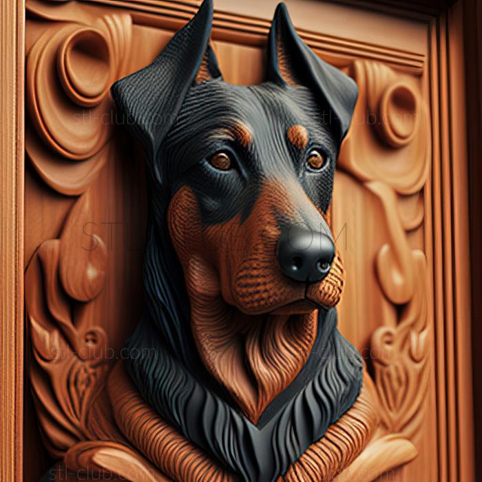 st Beauceron dog